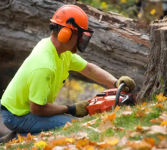 tree services Smallwood